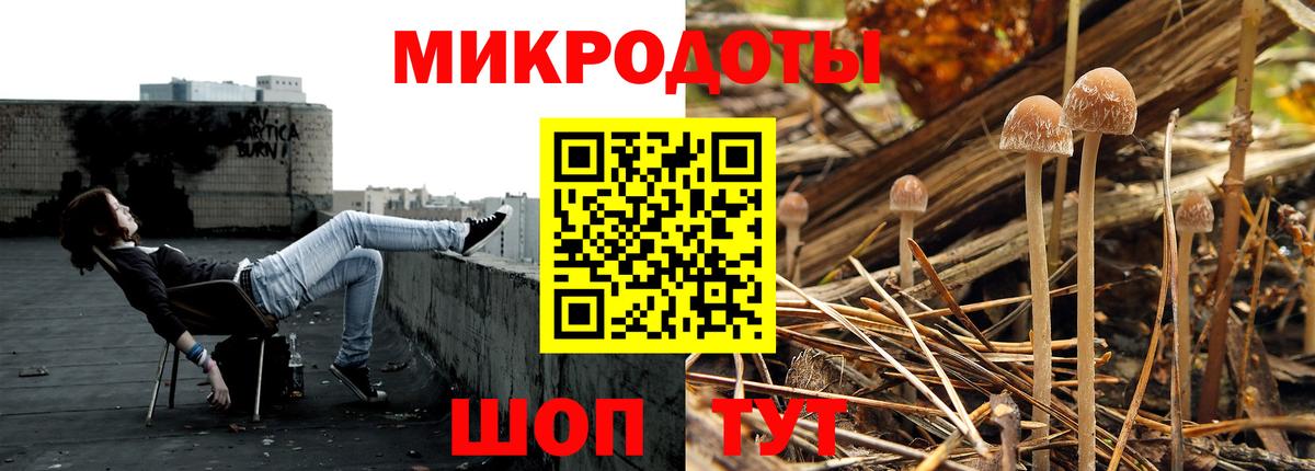 Тимашёвск  Псилоцибиновые грибы Cubensis  Псилоцибиновые грибы Cubensis  купить наркоту  Вход с VPN 